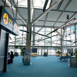 Portrait of Square Image for AI Automator article illustration